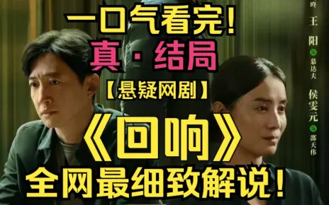 一口气看完迷雾悬疑剧《回响》【完结】！2023最新剧作，全明星出演，结局大反转！