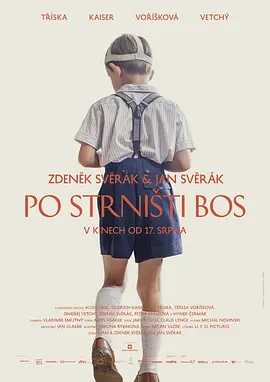 Po strnisti bos