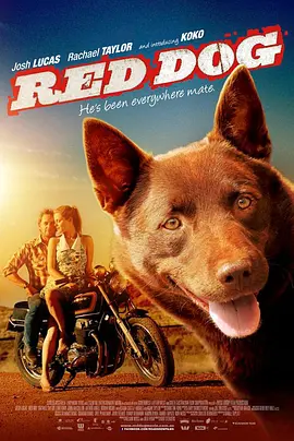 Red Dog