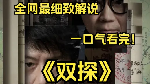 一口气看完4K画质神作《双探》讲述了刑警李慧炎为追查中学生绑架案只身前往双塔，最终却卷入错综复杂的黑道三方势力关系网中的故事！