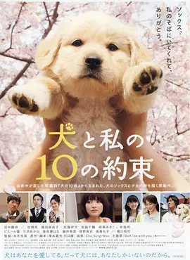 犬と私の10の約束